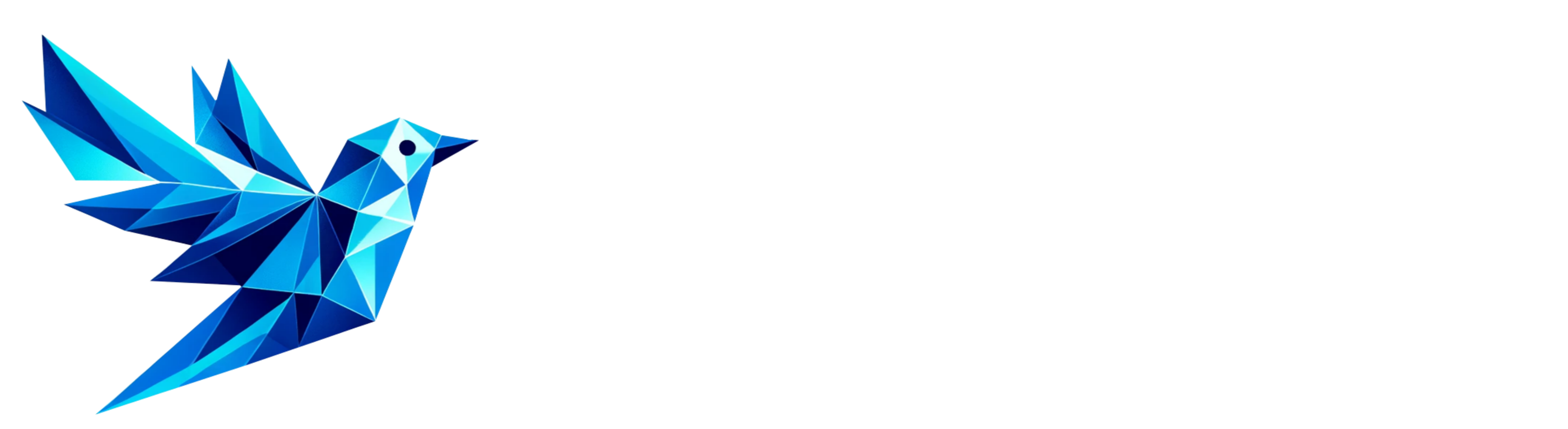 Enrium- votre accompagnateur dans la transition énergétique solaire et CEE